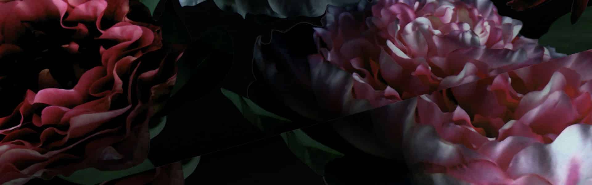 papis loveday tapetti kaikki kotisi tapetti