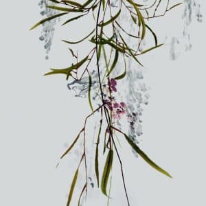 Crush Motion Botanical siniharmaa yksipaneelinen valokuvatapetti