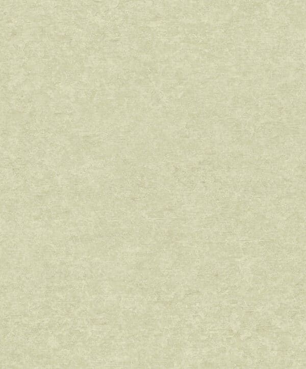 Attitude Casper plain beige tapetti