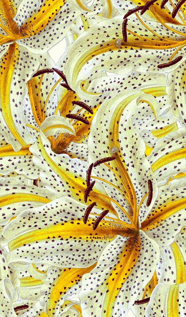 Botanic valokuvatapetti