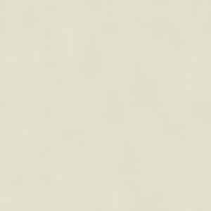 Terra Bare terrain 34620 vaalea beigen sävyinen luonnollinen savipintainen tapetti