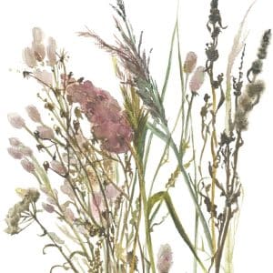 Boho kuivakukka kuvatapetti 35798, koko 1,59 x 2,70 m on tyylikäs ja helppohoitoinen vinyylipintainen kuitutapetti, joka tuo kotiisi luonnollisen pellavan ilmeen ja ripauksen pohjoismaista elämäntyyliä. Tämä kuvatapetti yhdistää kestävyyden ja kauneuden!  Täydellinen valinta moderniin ja luonnonläheiseen sisustukseen. Pellava kuvioinen tapetti on juuri sellainen kuin haluat. Hienostuneen viileä kosketus ja näyttävä, raskas laskeutuvuus tekevät siitä ajattoman valinnan. Yksinkertainen, mutta voimakas ja joskus jopa rauhoittava ankkuri sisustuksessa. Lämpimissä sävyissä se huokuu maanläheistä harmoniaa, vaaleissa sävyissä raikasta selkeyttä. Pellava, joka viimeistelee tilan tyylillä ja tunteella. Boho-mallisto huokuu harmoniaa ja se tuo kotiisi boheemin tyylin. Malliston kuosit luovat tilaan rentoutta ja luonnonläheistä tunnelmaa. Boho Fine linnen by Marburg Wallcoverings -mallisto yhdistää pehmeät luonnonmateriaalit, lämpimät sävyt ja kerrokselliset tekstuurit, jotka luovat kodikkaan ja persoonallisen ilmeen. Jokainen yksityiskohta on suunniteltu tuomaan tilaan rauhaa ja luovuutta. Inspiroidu luonnosta, elä vapaasti, sisusta rohkeasti. Boho-mallisto on täydellinen valinta sinulle, joka rakastat yhdistellä värejä, kuvioita ja materiaaleja omannäköiseksi kokonaisuudeksi.