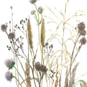 Boho niitty Kuvatapetti 35799, koko 1,59 x 2,70 m on tyylikäs ja helppohoitoinen vinyylipintainen kuitutapetti, joka tuo kotiisi luonnollisen pellavan ilmeen ja ripauksen pohjoismaista elämäntyyliä. Tämä kuvatapetti yhdistää kestävyyden ja kauneuden! Täydellinen valinta moderniin ja luonnonläheiseen sisustukseen. Pellava kuvioinen tapetti on juuri sellainen kuin haluat. Hienostuneen viileä kosketus ja näyttävä, raskas laskeutuvuus tekevät siitä ajattoman valinnan. Yksinkertainen, mutta voimakas ja joskus jopa rauhoittava ankkuri sisustuksessa. Lämpimissä sävyissä se huokuu maanläheistä harmoniaa, vaaleissa sävyissä raikasta selkeyttä. Pellava, joka viimeistelee tilan tyylillä ja tunteella. Boho-mallisto huokuu harmoniaa ja se tuo kotiisi boheemin tyylin. Malliston kuosit luovat tilaan rentoutta ja luonnonläheistä tunnelmaa. Boho Fine linnen by Marburg Wallcoverings -mallisto yhdistää pehmeät luonnonmateriaalit, lämpimät sävyt ja kerrokselliset tekstuurit, jotka luovat kodikkaan ja persoonallisen ilmeen. Jokainen yksityiskohta on suunniteltu tuomaan tilaan rauhaa ja luovuutta. Inspiroidu luonnosta, elä vapaasti, sisusta rohkeasti. Boho-mallisto on täydellinen valinta sinulle, joka rakastat yhdistellä värejä, kuvioita ja materiaaleja omannäköiseksi kokonaisuudeksi.