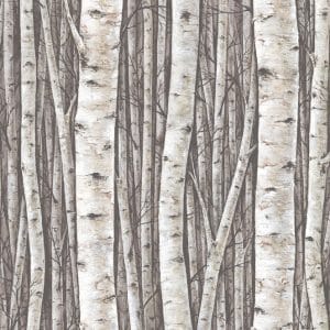 Urban Nature greige koivunrunkotapetti 35394