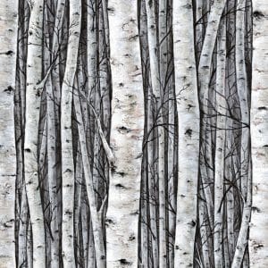 Urban Nature koivunrunko valokuvatapetti 35395