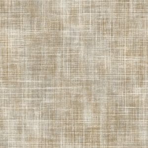 Structured Walls beige harjattu ruutu tapetti A85501
