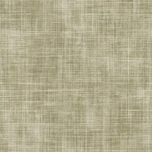 Structured Walls vihreä harjattu ruutu tapetti A85502