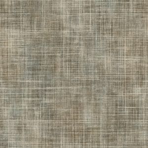 Structured Walls tummanharmaa harjattu ruutu tapetti A85503