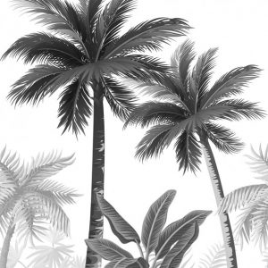 Graafinen Smart Art Easy Palmu valokuvatapetti 47204