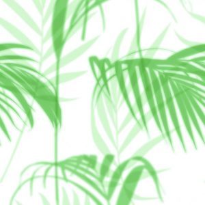 Vihreä Smart Art Easy Palmunlehti valokuvatapetti 47209.