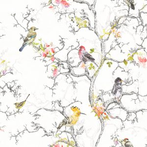 Birdwatch 97892 lintu apetti