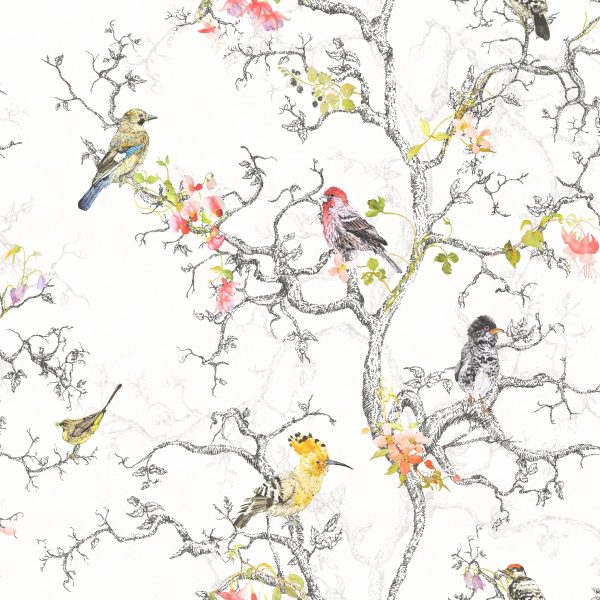 Birdwatch 97892 lintu apetti
